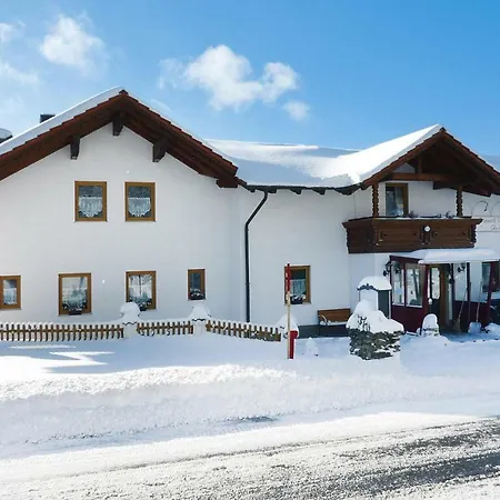 Haus Hertlein St- Englmar - Dmg04514-syb 상트엥글마