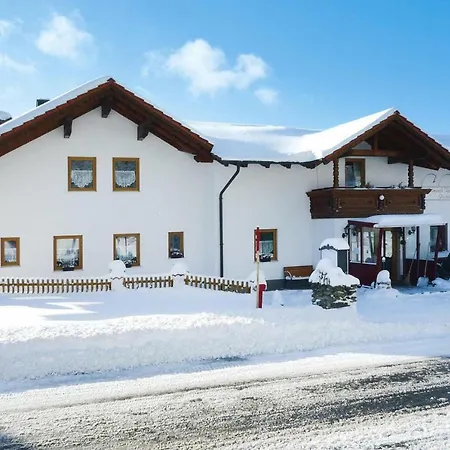 Haus Hertlein St- Englmar - Dmg04514-syb 아파트 상트엥글마
