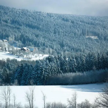 Haus Hertlein St- Englmar - Dmg04514-syb